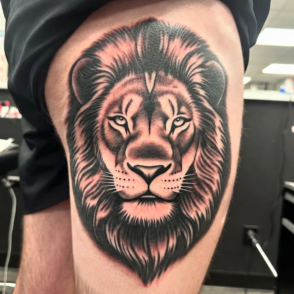 Realistický lev - Peter Horváth